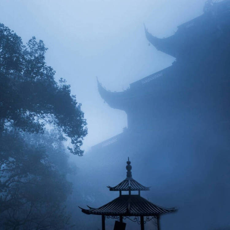 武井咲（饰 神谷熏） - 网络短剧全集在线观看 - 电脑直播